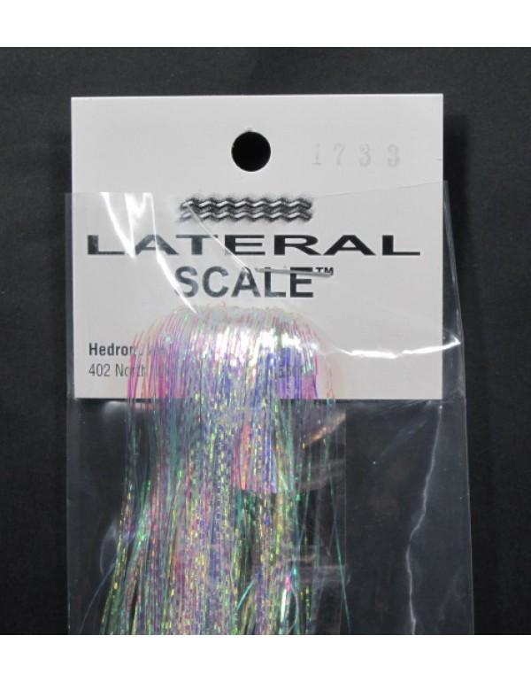 LATERAL SCALE