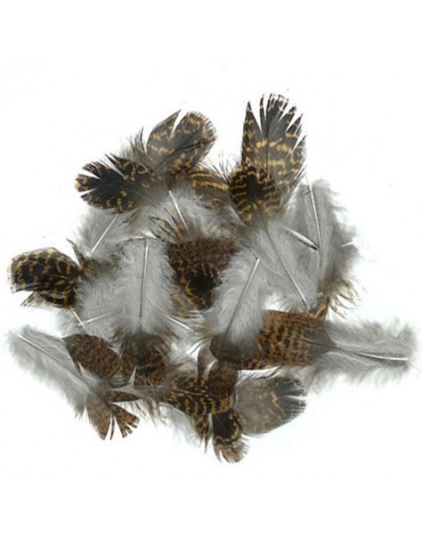 GROUSE BODY FEATHERS