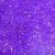 Ice UV Purple 