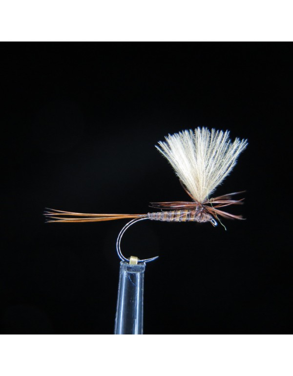 FTW QUILL PARACHUTE BROWN